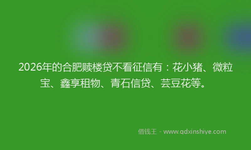 2026年的合肥赎楼贷不看征信有:花小猪、微粒宝、鑫享租物、青石信贷、芸豆花等。