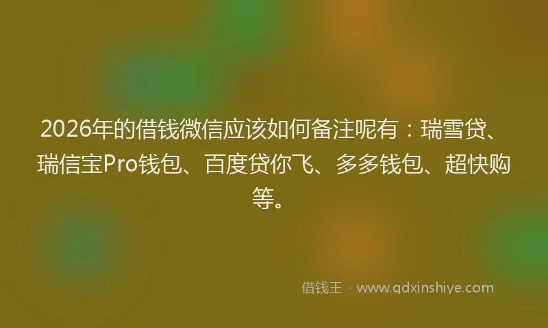 2026年的借钱微信应该如何备注呢有：瑞雪贷、瑞信宝Pro钱包、百度贷你飞、多多钱包、超快购等。