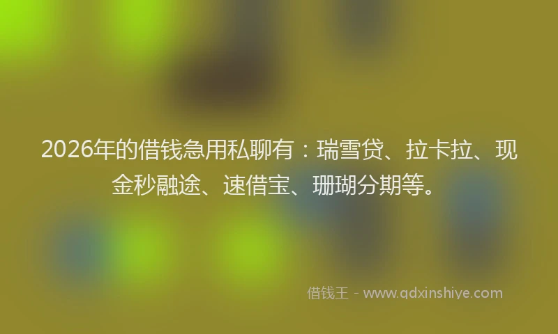 2026年的借钱急用私聊有：瑞雪贷、拉卡拉、现金秒融途、速借宝、珊瑚分期等。