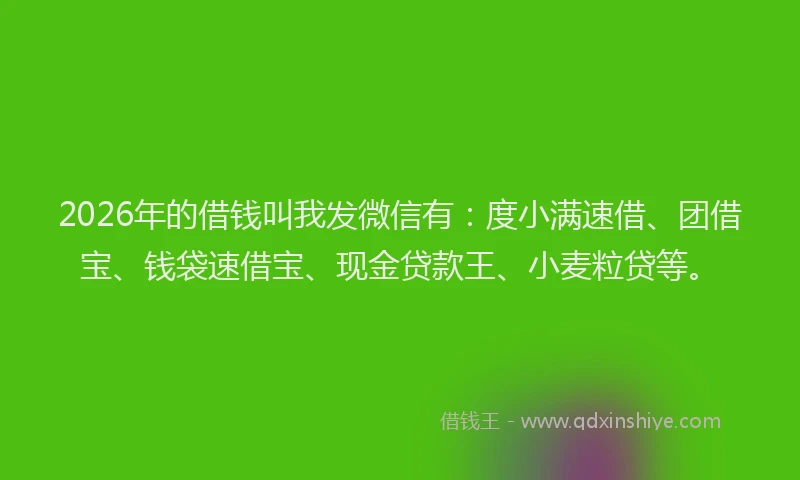 2026年的借钱叫我发微信有：度小满速借、团借宝、钱袋速借宝、现金贷款王、小麦粒贷等。
