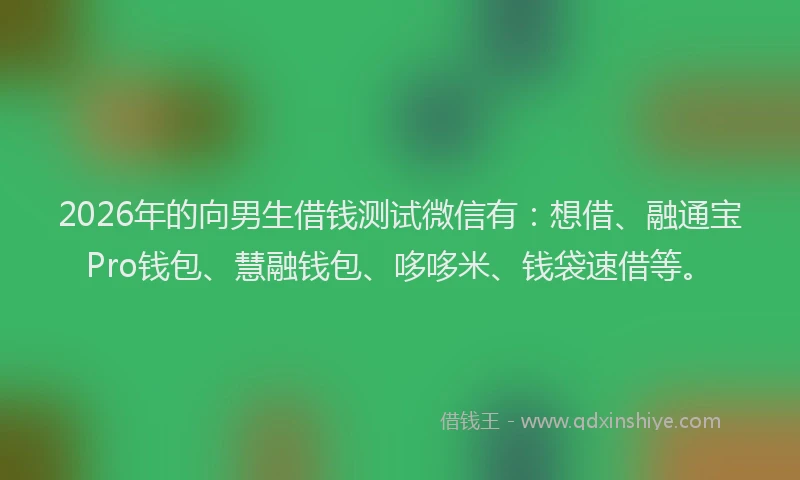 2026年的向男生借钱测试微信有：想借、融通宝Pro钱包、慧融钱包、哆哆米、钱袋速借等。