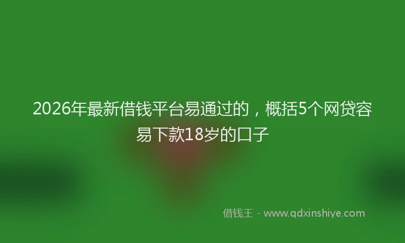 2026年最新借钱平台易通过的,概括5个网贷容易下款18岁的口子