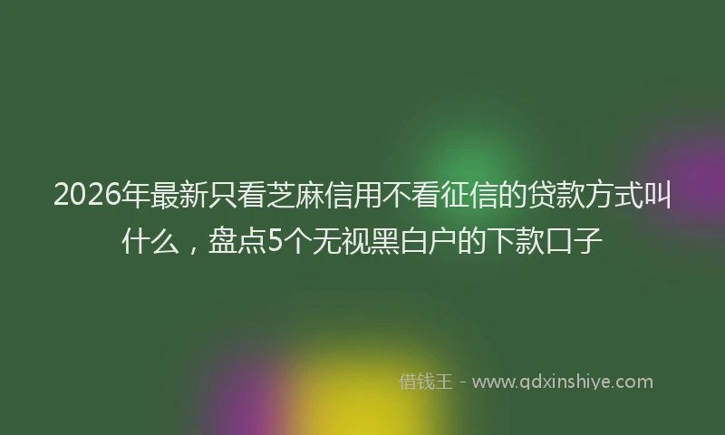 2026年最新只看芝麻信用不看征信的贷款方式叫什么，盘点5个无视黑白户的下款口子