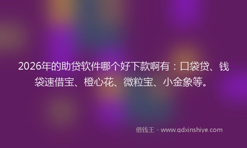 2026年的助贷软件哪个好下款啊有：口袋贷、钱袋速借宝、橙心花、微粒宝、小金象等。