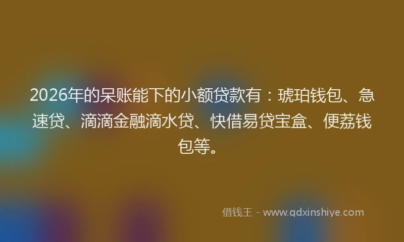 2026年的呆账能下的小额贷款有：琥珀钱包、急速贷、滴滴金融滴水贷、快借易贷宝盒、便荔钱包等。