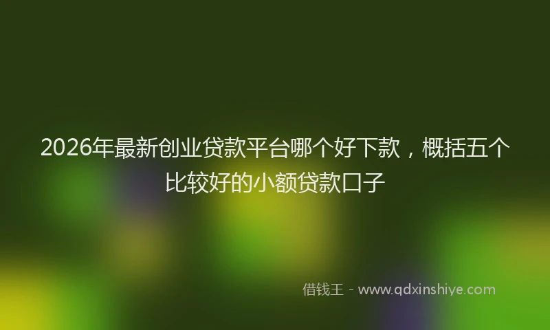 2026年最新创业贷款平台哪个好下款，概括五个比较好的小额贷款口子