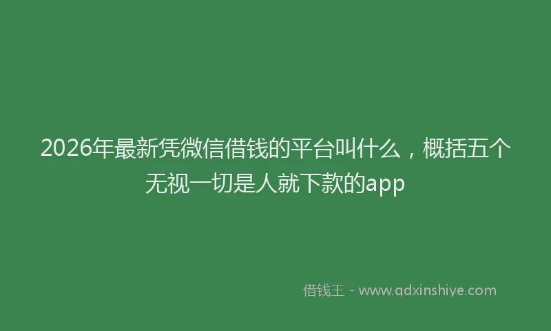 2026年最新凭微信借钱的平台叫什么,概括五个无视一切是人就下款的app