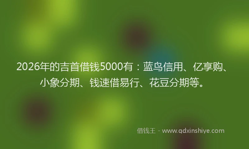 2026年的吉首借钱5000有：蓝鸟信用、亿享购、小象分期、钱速借易行、花豆分期等。