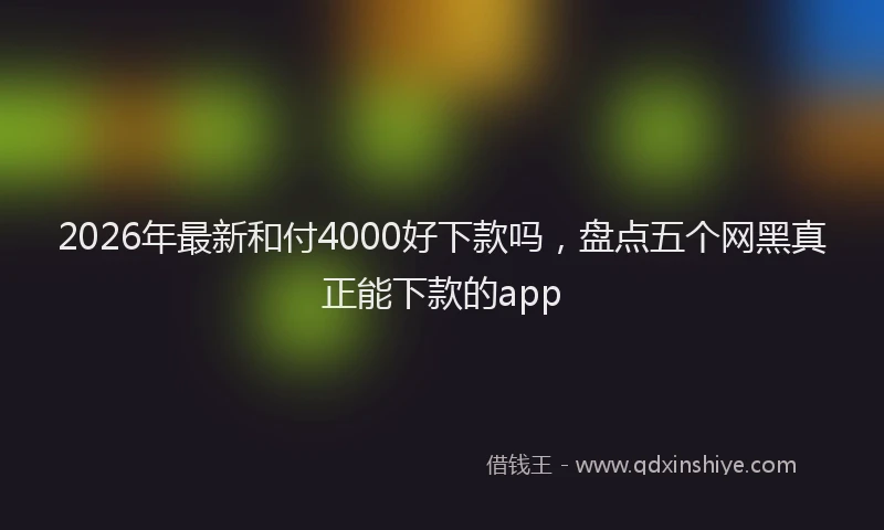 2026年最新和付4000好下款吗,盘点五个网黑真正能下款的app