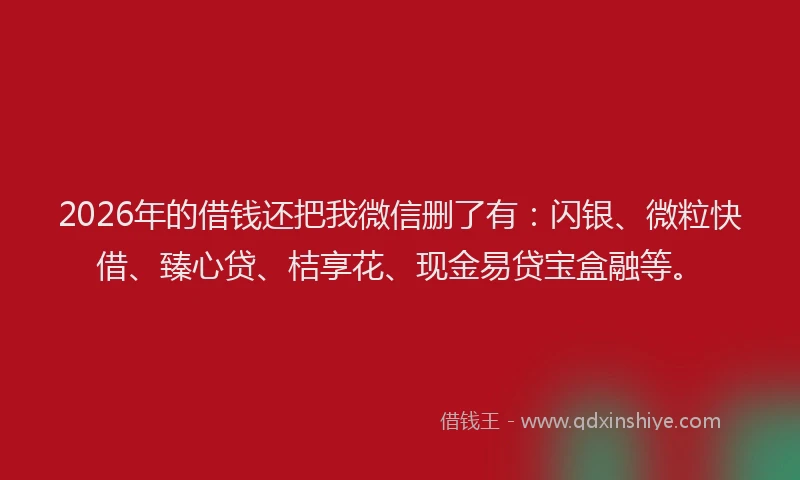 2026年的借钱还把我微信删了有：闪银、微粒快借、臻心贷、桔享花、现金易贷宝盒融等。
