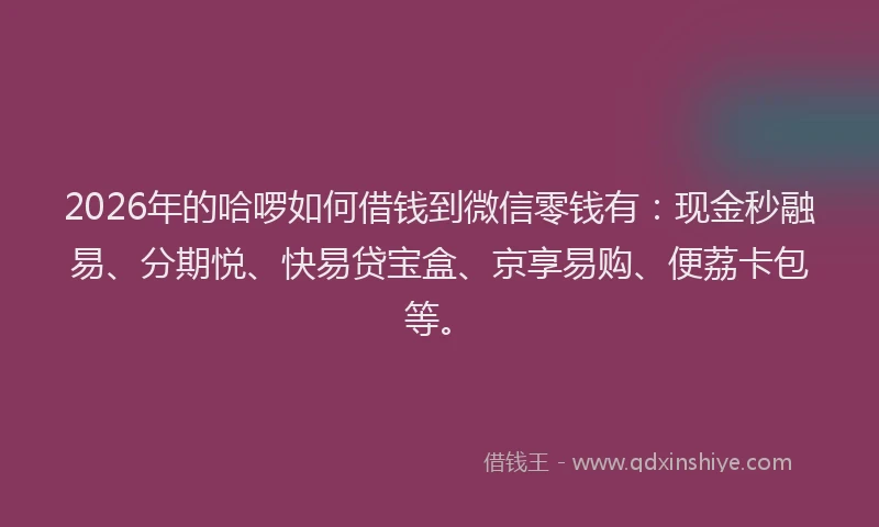 2026年的哈啰如何借钱到微信零钱有:现金秒融易、分期悦、快易贷宝盒、京享易购、便荔卡包等。