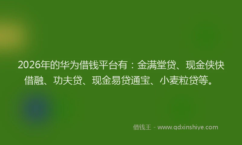 2026年的华为借钱平台有:金满堂贷、现金侠快借融、功夫贷、现金易贷通宝、小麦粒贷等。