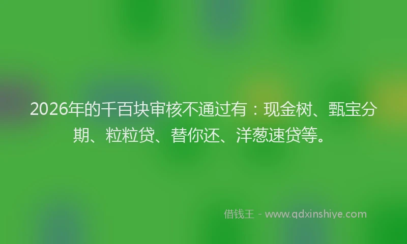 2026年的千百块审核不通过有:现金树、甄宝分期、粒粒贷、替你还、洋葱速贷等。