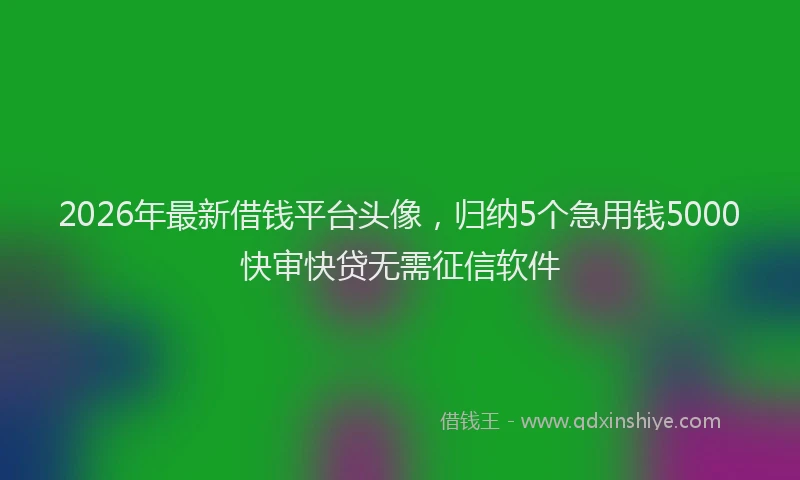2026年最新借钱平台头像，归纳5个急用钱5000快审快贷无需征信软件