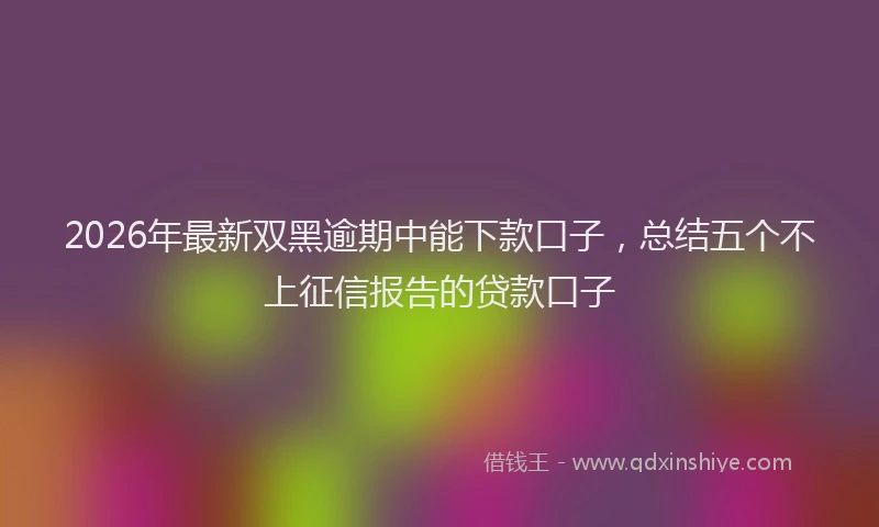 2026年最新双黑逾期中能下款口子,总结五个不上征信报告的贷款口子
