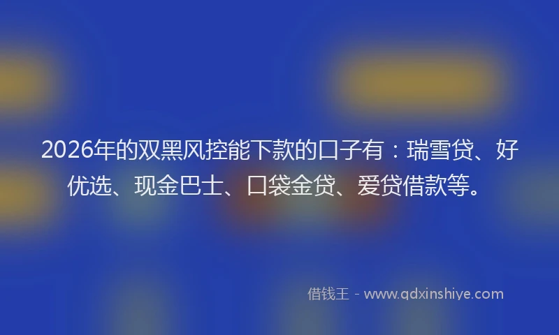 2026年的双黑风控能下款的口子有：瑞雪贷、好优选、现金巴士、口袋金贷、爱贷借款等。