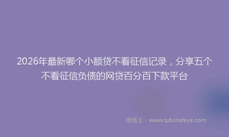 2026年最新哪个小额贷不看征信记录，分享五个不看征信负债的网贷百分百下款平台