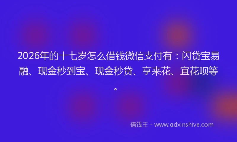 2026年的十七岁怎么借钱微信支付有:闪贷宝易融、现金秒到宝、现金秒贷、享来花、宜花呗等。