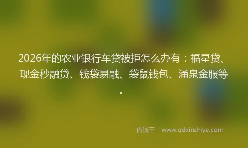 2026年的农业银行车贷被拒怎么办有：福星贷、现金秒融贷、钱袋易融、袋鼠钱包、涌泉金服等。