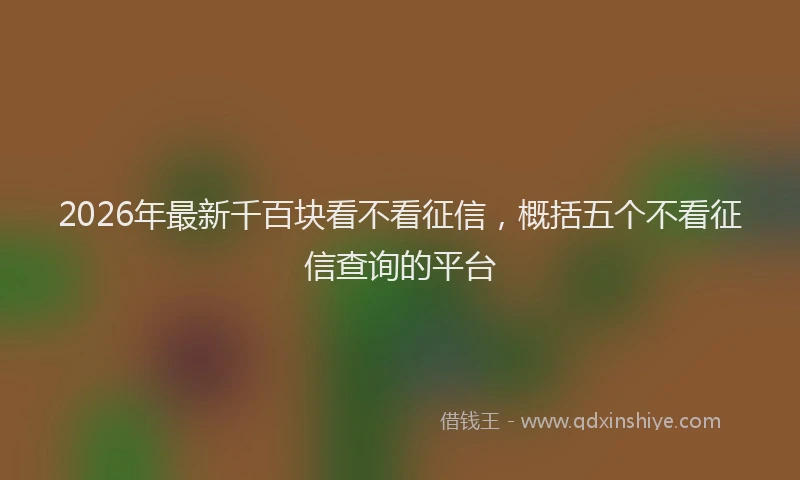 2026年最新千百块看不看征信，概括五个不看征信查询的平台
