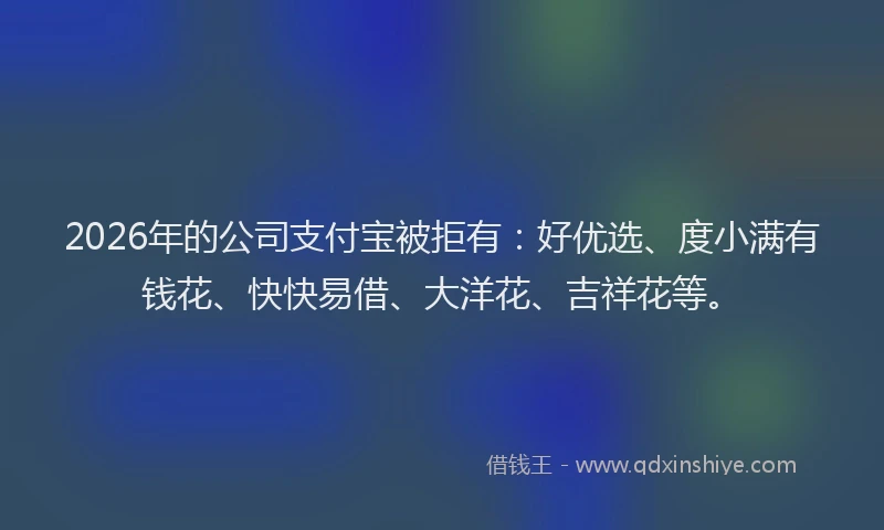 2026年的公司支付宝被拒有：好优选、度小满有钱花、快快易借、大洋花、吉祥花等。