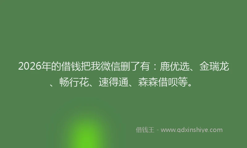 2026年的借钱把我微信删了有：鹿优选、金瑞龙、畅行花、速得通、森森借呗等。