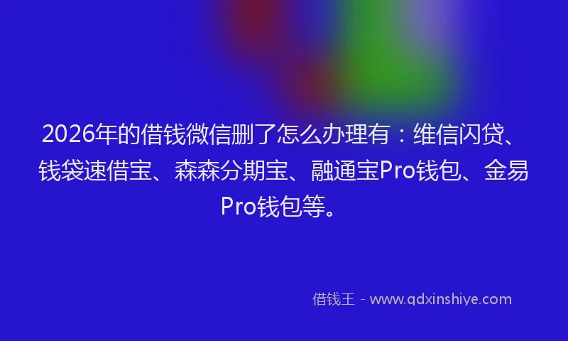 2026年的借钱微信删了怎么办理有：维信闪贷、钱袋速借宝、森森分期宝、融通宝Pro钱包、金易Pro钱包等。