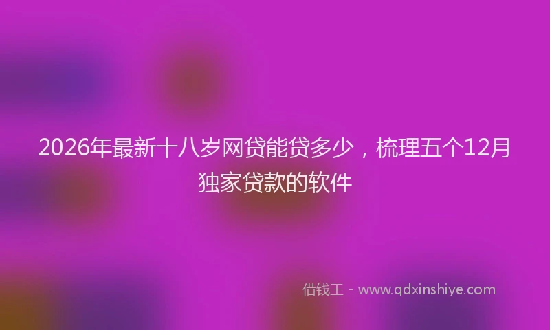 2026年最新十八岁网贷能贷多少,梳理五个12月独家贷款的软件
