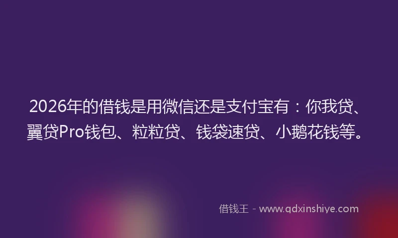 2026年的借钱是用微信还是支付宝有：你我贷、翼贷Pro钱包、粒粒贷、钱袋速贷、小鹅花钱等。