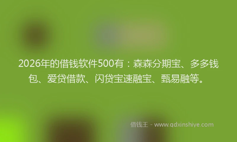 2026年的借钱软件500有：森森分期宝、多多钱包、爱贷借款、闪贷宝速融宝、甄易融等。