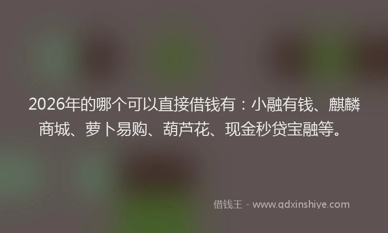 2026年的哪个可以直接借钱有：小融有钱、麒麟商城、萝卜易购、葫芦花、现金秒贷宝融等。
