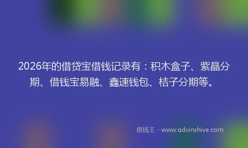 2026年的借贷宝借钱记录有：积木盒子、紫晶分期、借钱宝易融、鑫速钱包、桔子分期等。