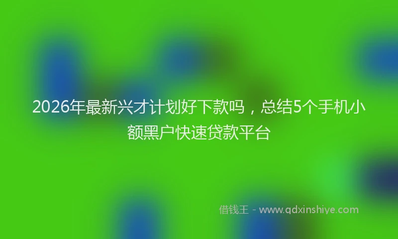 2026年最新兴才计划好下款吗，总结5个手机小额黑户快速贷款平台
