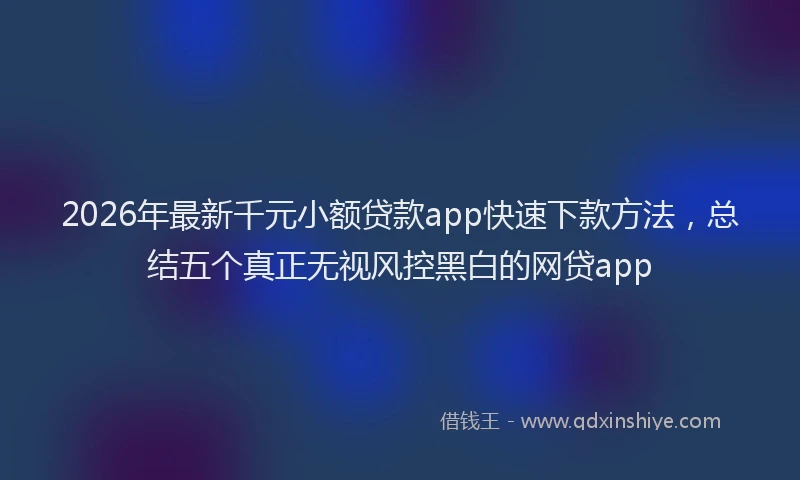 2026年最新千元小额贷款app快速下款方法,总结五个真正无视风控黑白的网贷app