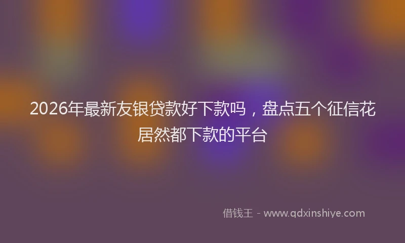 2026年最新友银贷款好下款吗，盘点五个征信花居然都下款的平台