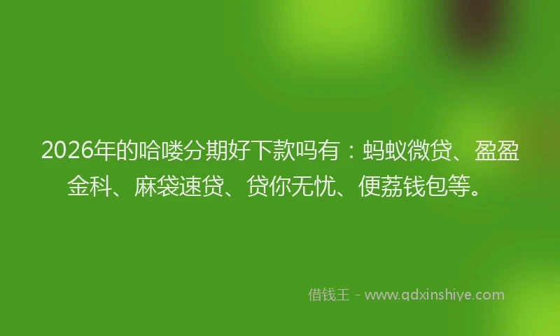 2026年的哈喽分期好下款吗有：蚂蚁微贷、盈盈金科、麻袋速贷、贷你无忧、便荔钱包等。