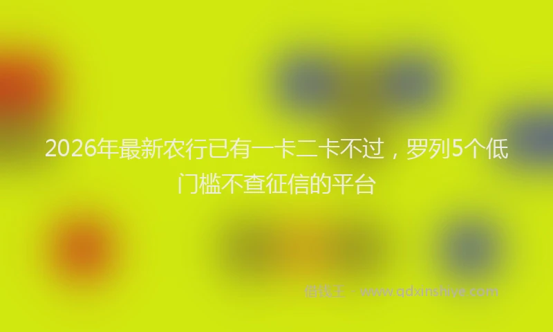 2026年最新农行已有一卡二卡不过,罗列5个低门槛不查征信的平台