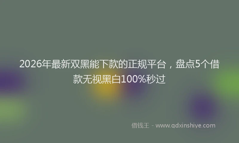 2026年最新双黑能下款的正规平台，盘点5个借款无视黑白100%秒过