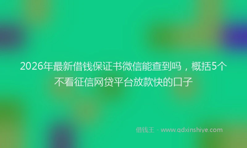 2026年最新借钱保证书微信能查到吗，概括5个不看征信网贷平台放款快的口子