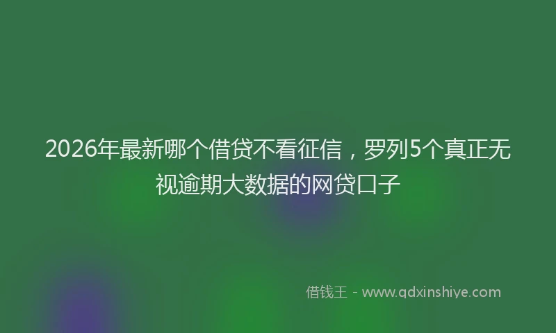 2026年最新哪个借贷不看征信，罗列5个真正无视逾期大数据的网贷口子