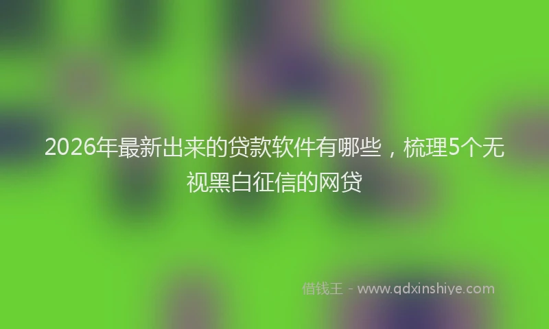 2026年最新出来的贷款软件有哪些，梳理5个无视黑白征信的网贷