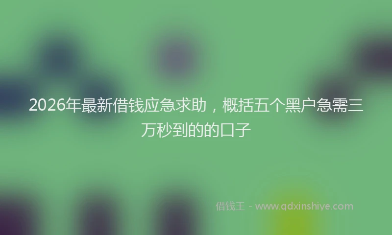 2026年最新借钱应急求助，概括五个黑户急需三万秒到的的口子