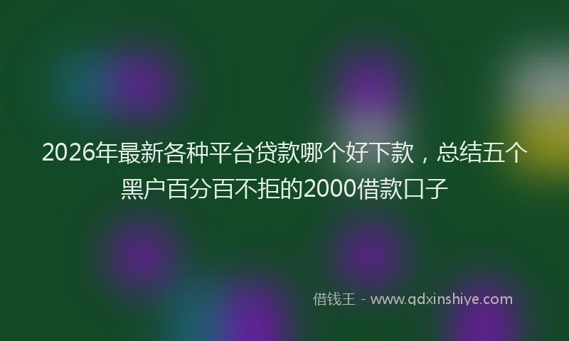 2026年最新各种平台贷款哪个好下款，总结五个黑户百分百不拒的2000借款口子
