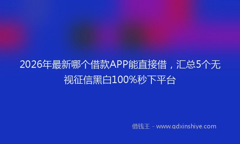 2026年最新哪个借款APP能直接借，汇总5个无视征信黑白100%秒下平台