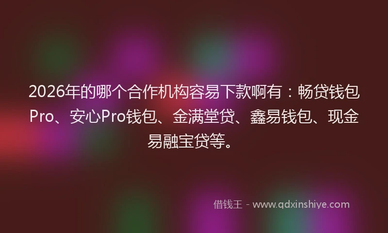 2026年的哪个合作机构容易下款啊有:畅贷钱包Pro、安心Pro钱包、金满堂贷、鑫易钱包、现金易融宝贷等。