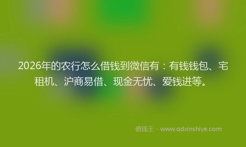 2026年的农行怎么借钱到微信有：有钱钱包、宅租机、沪商易借、现金无忧、爱钱进等。