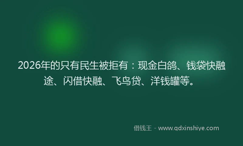 2026年的只有民生被拒有:现金白鸽、钱袋快融途、闪借快融、飞鸟贷、洋钱罐等。