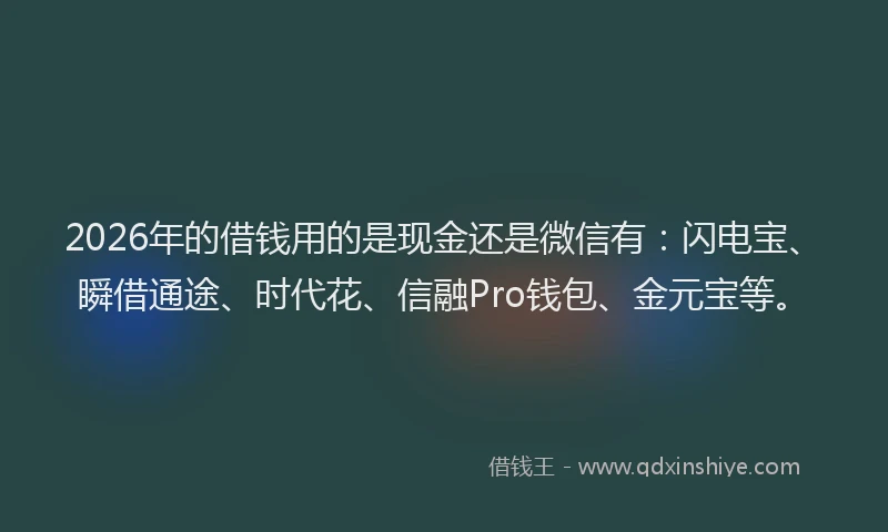 2026年的借钱用的是现金还是微信有：闪电宝、瞬借通途、时代花、信融Pro钱包、金元宝等。