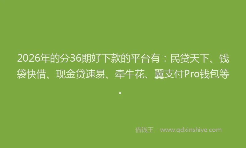 2026年的分36期好下款的平台有:民贷天下、钱袋快借、现金贷速易、牵牛花、翼支付Pro钱包等。