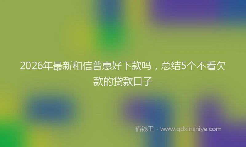 2026年最新和信普惠好下款吗,总结5个不看欠款的贷款口子